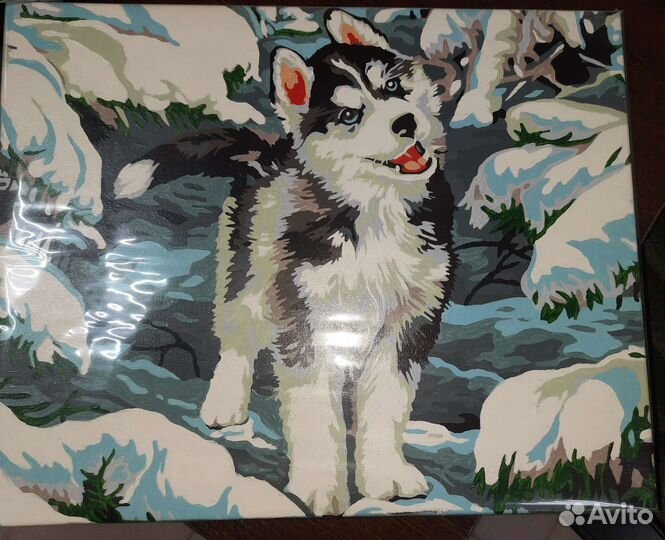 Картины по номерам раскрашенная