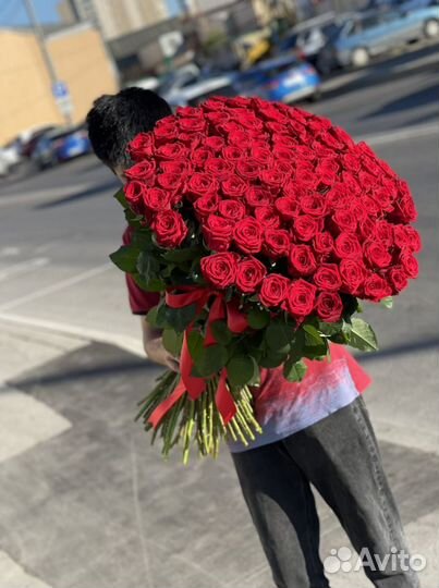 Цветы роза красная 51шт