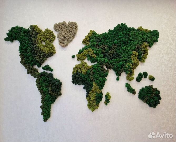 Мох стабилизированный. Картина