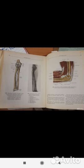 Атлас анатомии человека синельников 1 том 1972 г