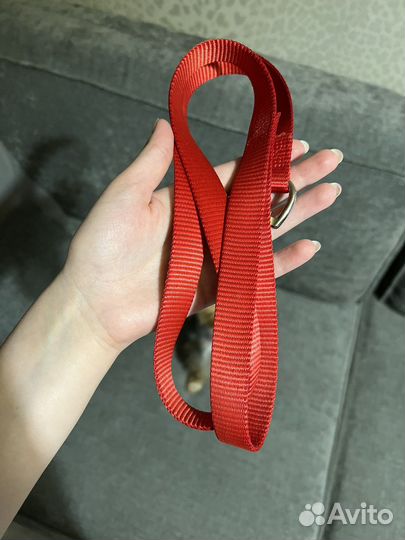 Поводок для собак