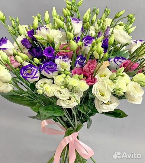 Эустома букет из эустомы Тверь эустома