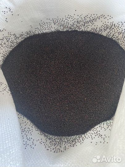 Рапс. семена озимого рапса