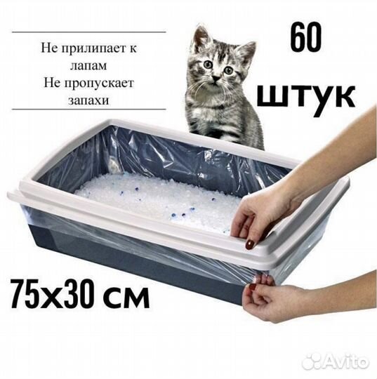 Влажный корм для котят, наполнитель