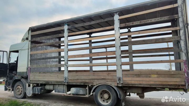 Грузоперевозки 10 тонн