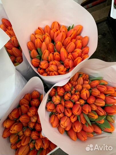 Букет тюльпанов