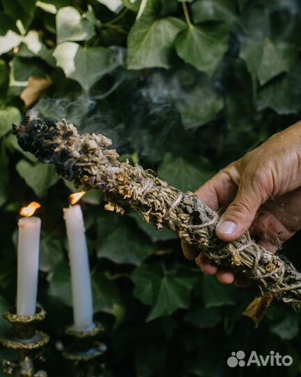 Шалфей. Скрутка. Травы. Окуривание