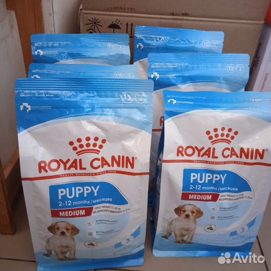 Корм для щенков и ветпаспорт