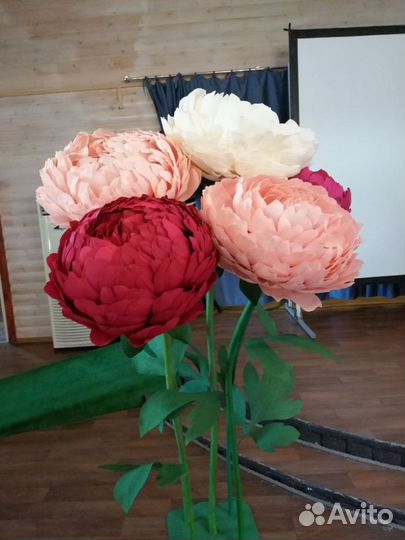 Ростовые цветы для украшения праздника