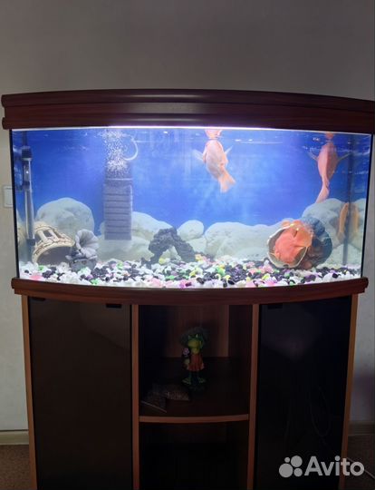 Аквариум с тумбой 200л