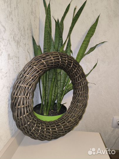 Венок объемный из ротанга