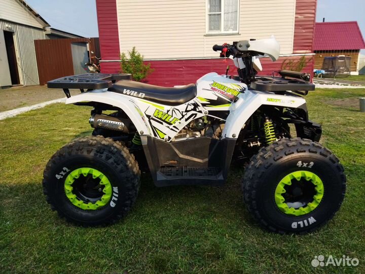 Motolenb wild 125