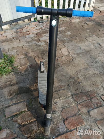 Электросамокат ninebot by segway