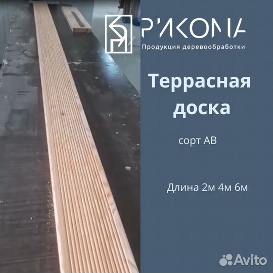Полок липа