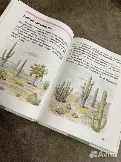 Природоведение 4 класс, Мир вокруг нас 2