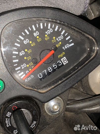Racer panther 300