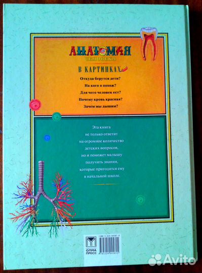 Анатомия человека в картинках Г.Юдин 2004