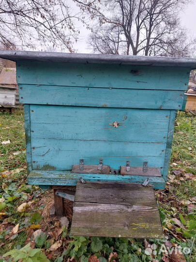 Продам ульи для пчел