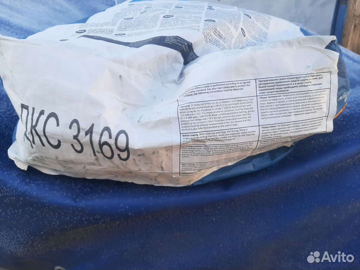 Семена кукурузы