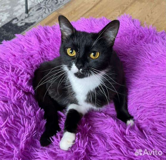 Малышка Фрея ищет семью