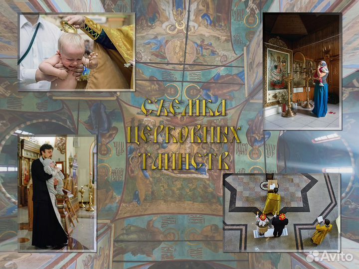 Фоторепортер, Крестины, фотограф-анималист