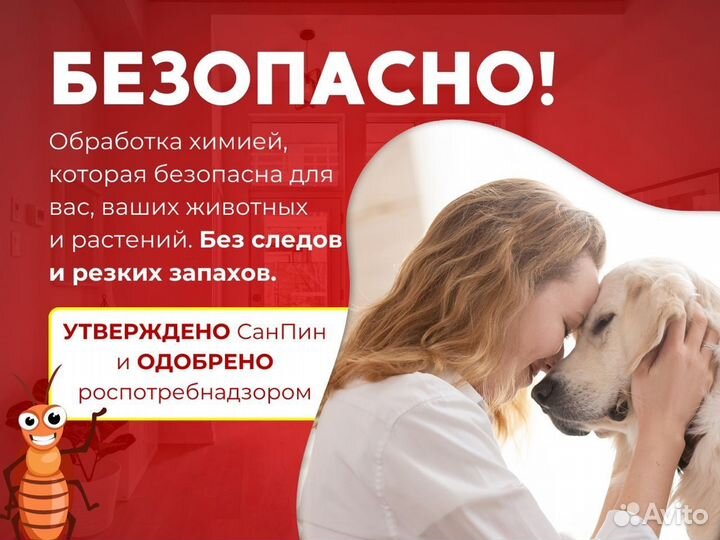 Уничтожение борщевика комаров ос шершней