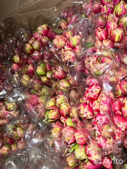 Тюльпаны к 8 марта опт