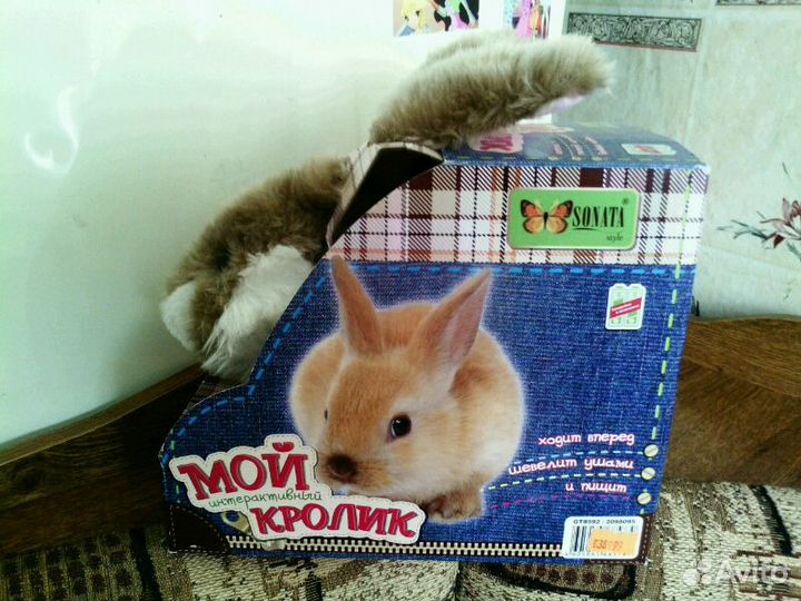 Мой кролик