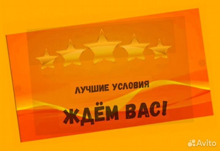 Сборщик заказов Выплаты еженедельно Без опыта М/Ж