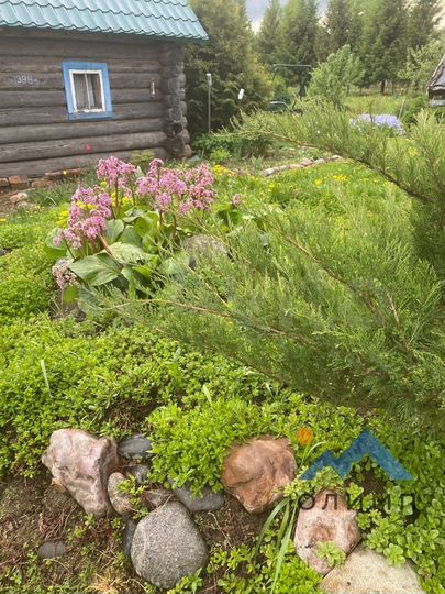 Дом 49,9 м² на участке 61 сот.