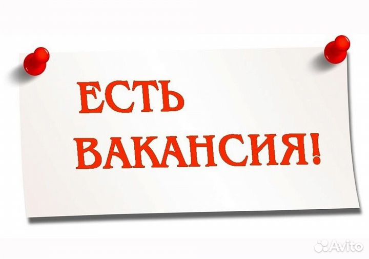 Водитель экспедитор
