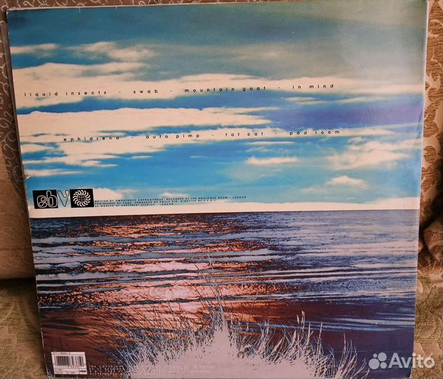 Винил Amorphous androgynous 