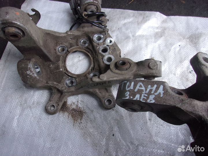 Цапфа задняя Nissan Teana J32.Теана J32