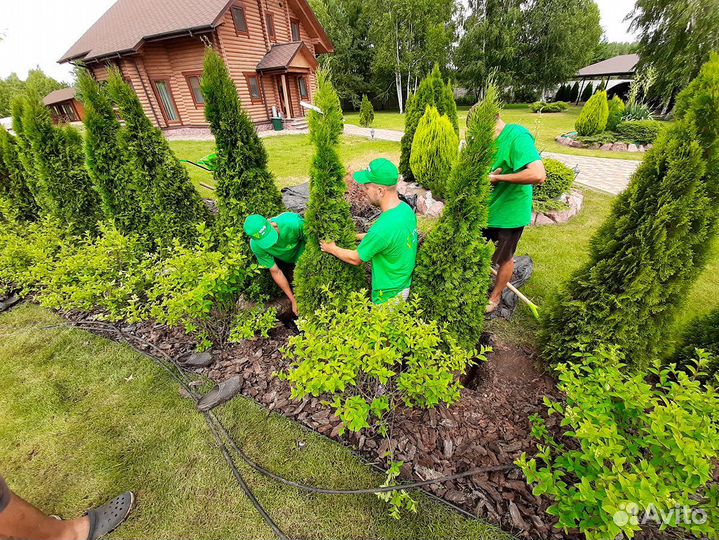 Садовник - озеленетель