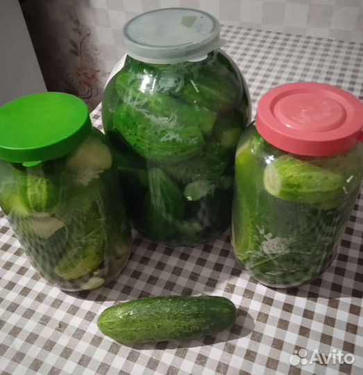 Огурцы малосольные домашние