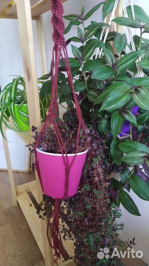 Кашпо для цветов подвесное