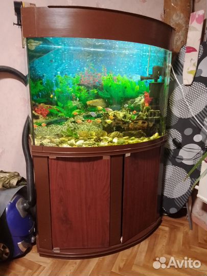 Аквариум с тумбой 250 литров