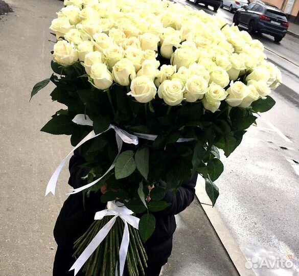 Розы 101 роза 51 роза Розы опт Цветы доставка