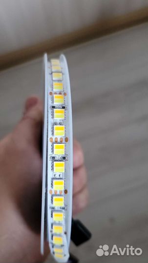 Лента светодиодная Хол+Тёплый Белый 5 метр