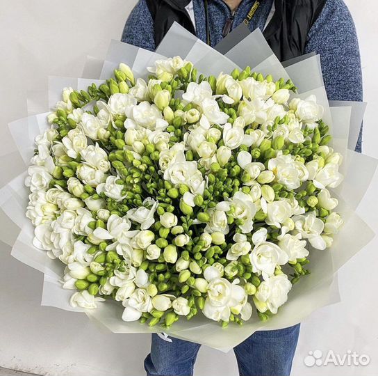 Фрезии Букеты Цветы Фрезия Доставка 24/7