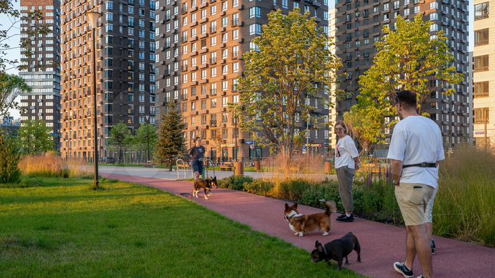 Квартира-студия, 24,2 м², 19/24 эт.