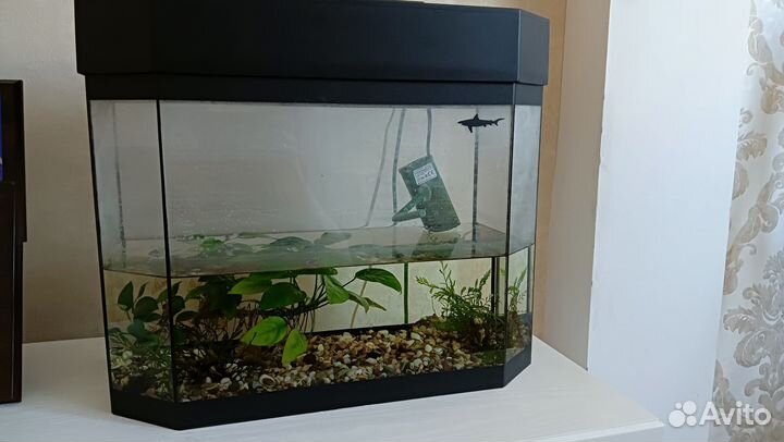 Аквариум 30 литров