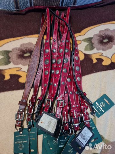 Ошейник для собак