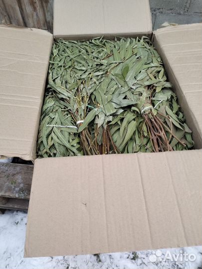 Эвкалиптовый веник