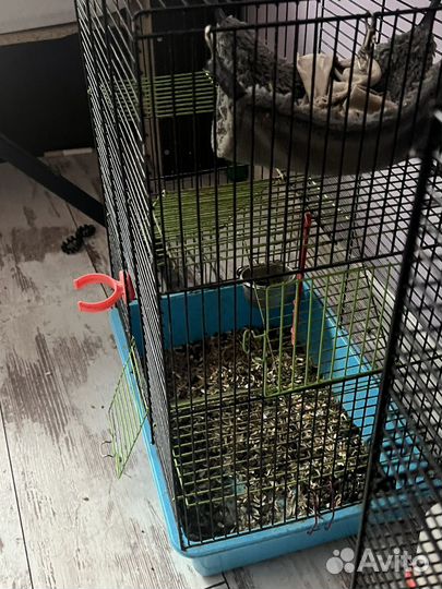 Клетка для грызунов