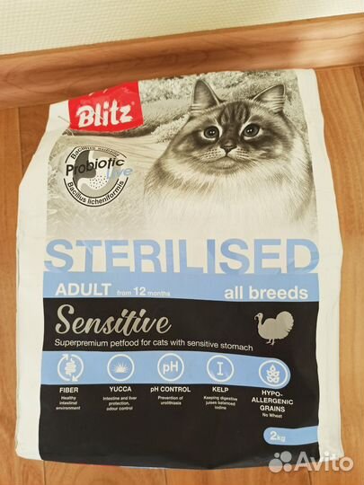 Blitz sterilised cats