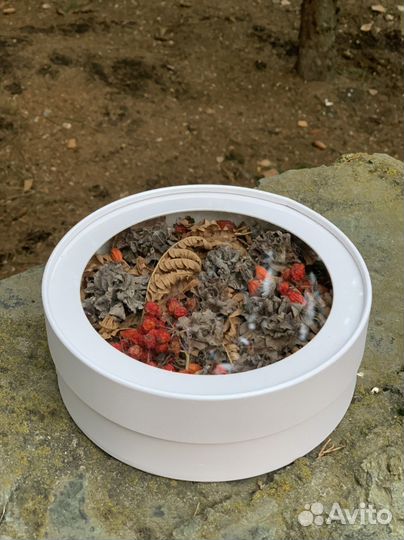 Осенняя композиция