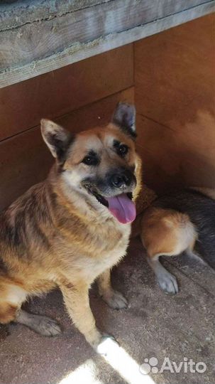 Меня обижали