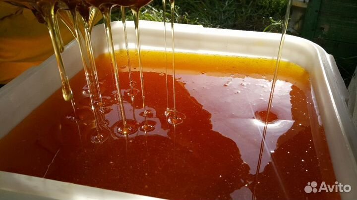 Мёд Белый Цветочный (маслом) 22г, Предгорья с дост