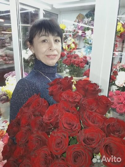 Хризантемы